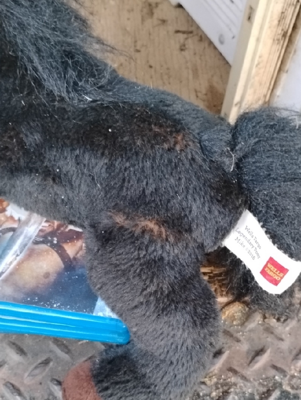 Black  Wells Fargo Legendary Pony Mike(2016)